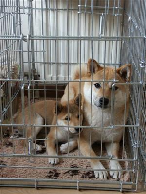 Keiko en Rontu in bench