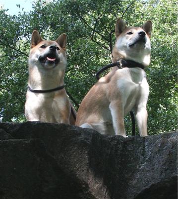 Keiko en Rontu op een rotsblok